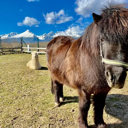 Kimo - Stunning View Of High Tatras * Велька-Ломница