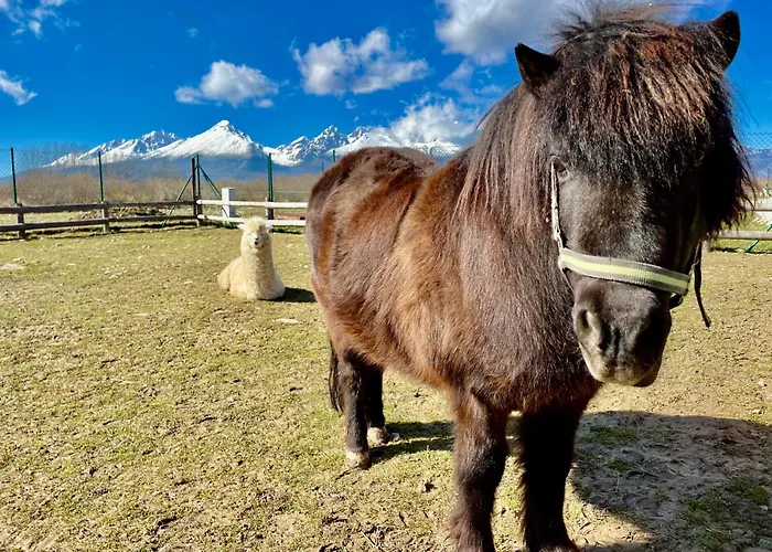 Kimo - Stunning View Of High Tatras * Vel'ka Lomnica